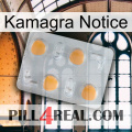 Kamagra Notice 24